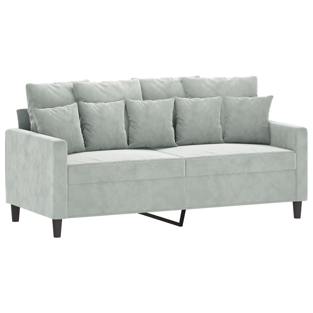 Light Gray Velvet 2 Piece Sofa Set F955000