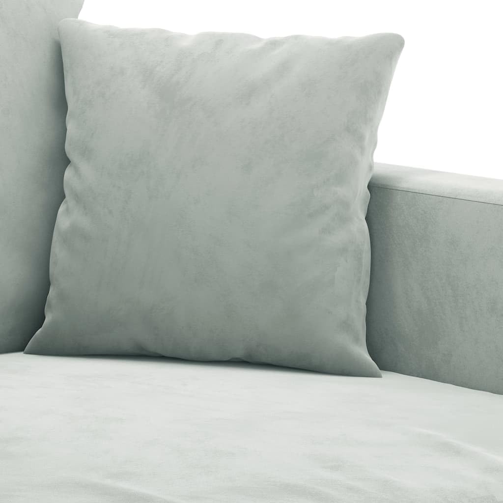 Light Gray Velvet 2 Piece Sofa Set F955000