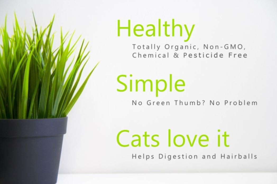 100% Organic Cat Grass Seed Mix 6 Ounce L294