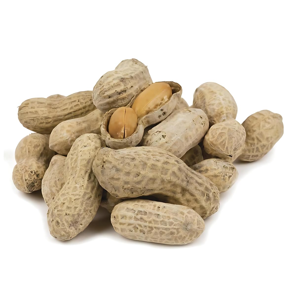 In-Shell Peanuts 10 Pounds J6005
