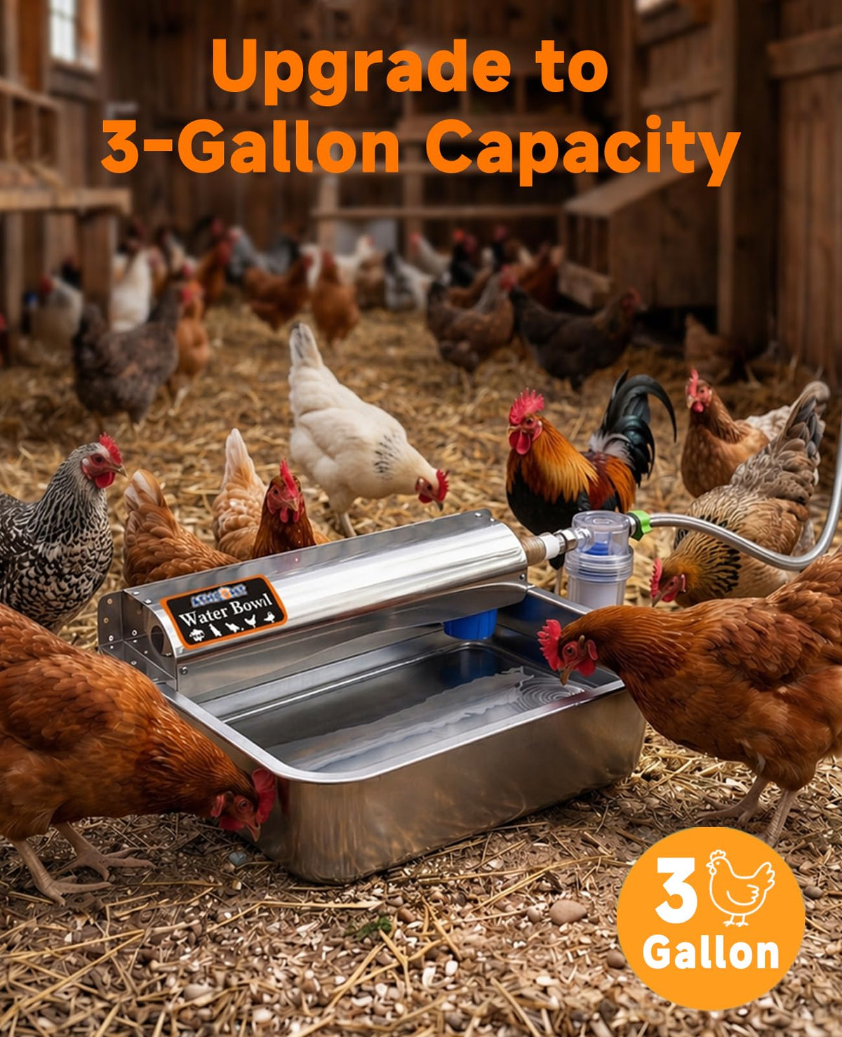 Automatic Chicken Waterer 304 Stainless Steel G74613
