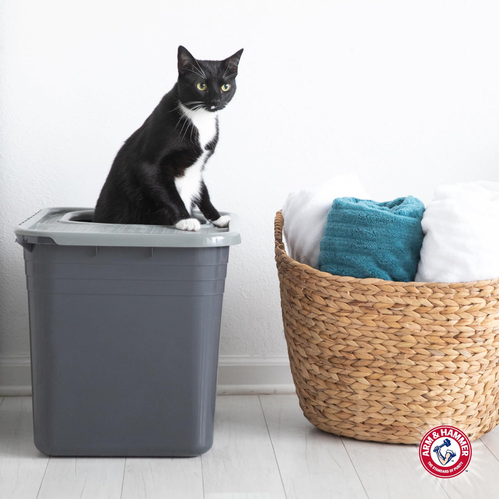Top Entry Litter Box with Filter Z897
