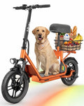 Electric Scooter with Seat V46300