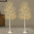 Set of 2 6 feet Lighted Birch Tree 160 LED Warm White W65025