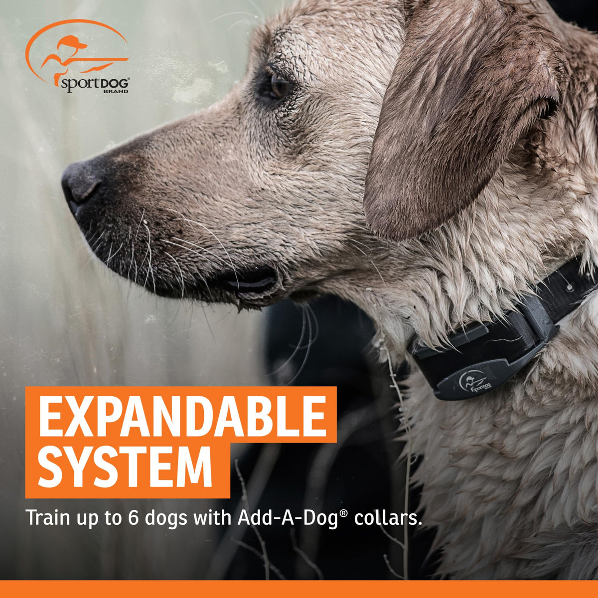 Add-A-Dog Waterproof Collar F3153