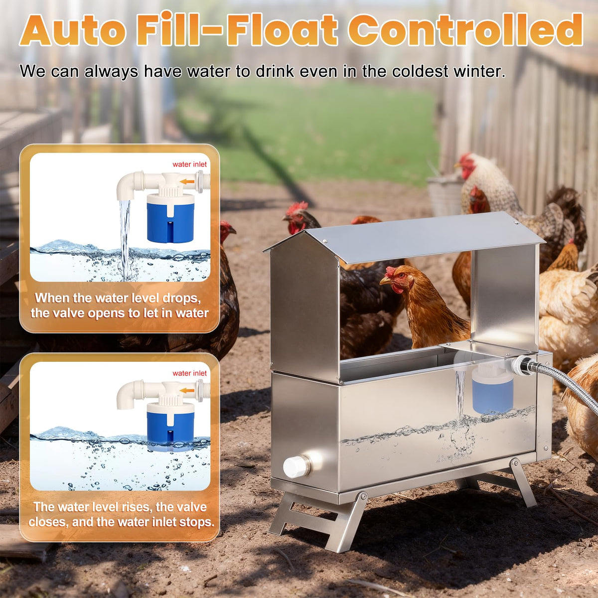 Heated 2 Gallon Stainless Steel Chicken Waterer M78536