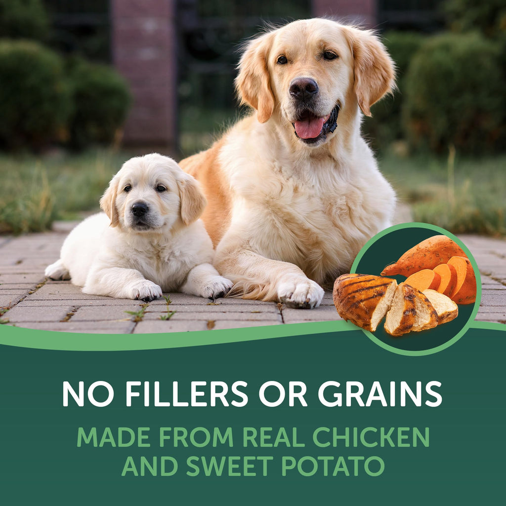 Chicken Wrapped Sweet Potato Dog Treats 16oz X788563