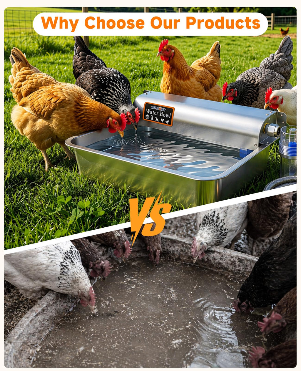 Automatic Chicken Waterer 304 Stainless Steel G74613