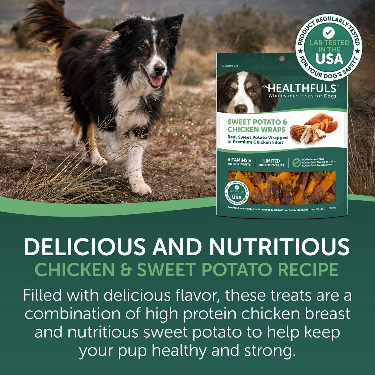 Chicken Wrapped Sweet Potato Dog Treats 16oz X788563