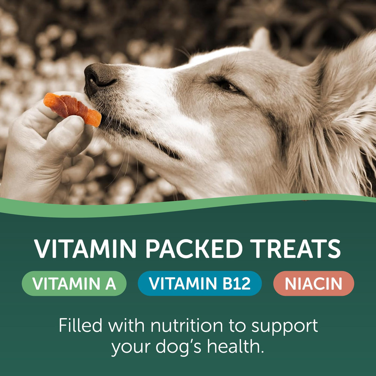 Chicken Wrapped Sweet Potato Dog Treats 16oz X788563