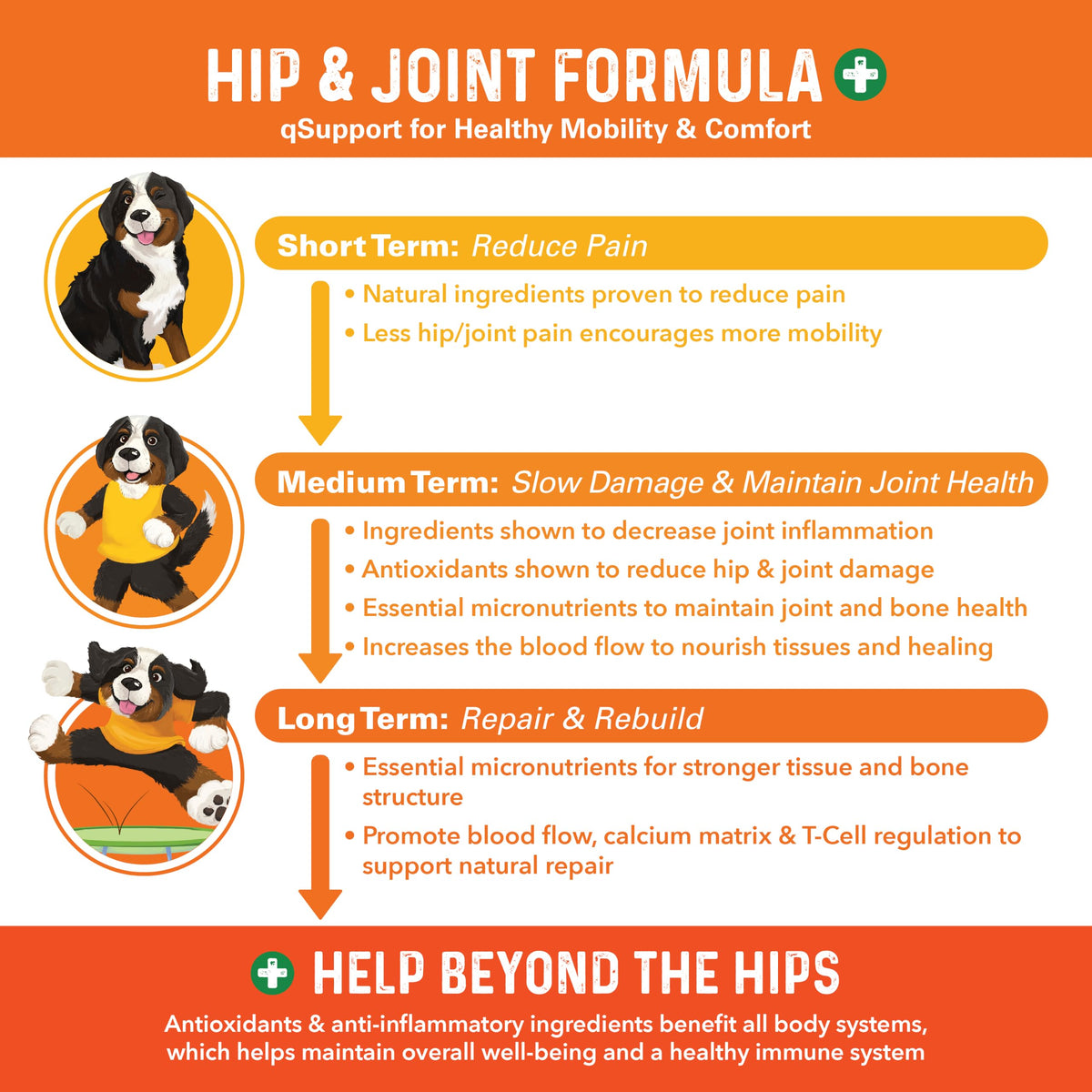 Hip and Joint Supplement for Dogs 90 Ct Soft Chews F656