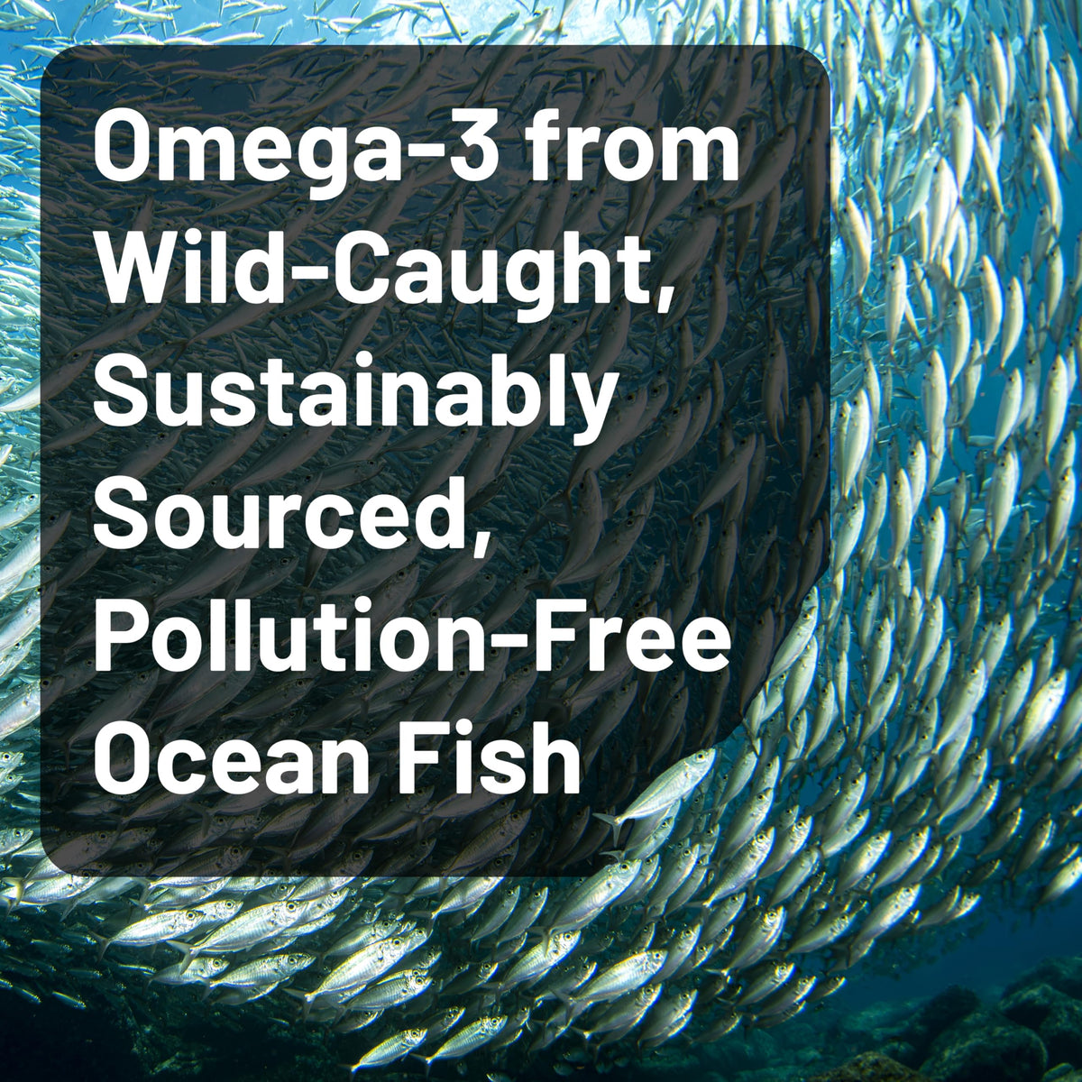 Omega 3 Fish Oil 4080mg Softgels U792061