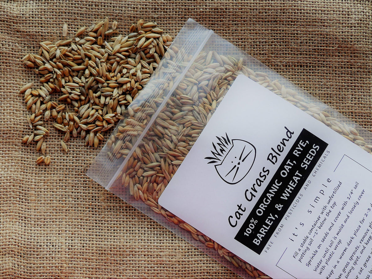 100% Organic Cat Grass Seed Mix 6 Ounce L294